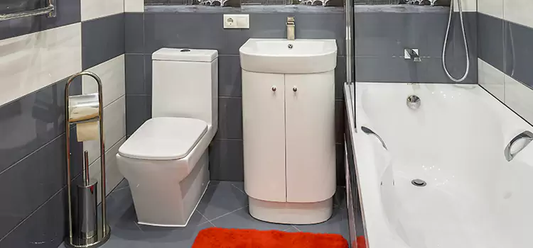Hansgrohe Shaving Mirror North Fort Myers